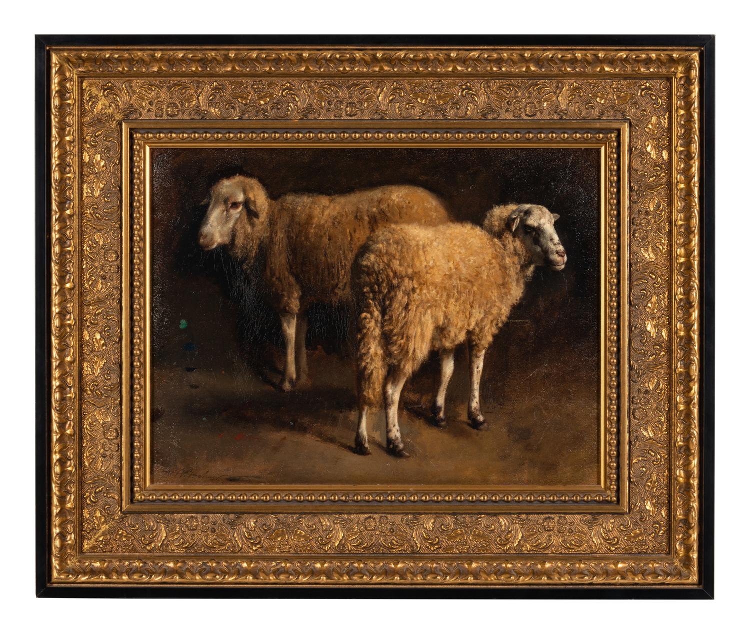 Study of Two Sheep