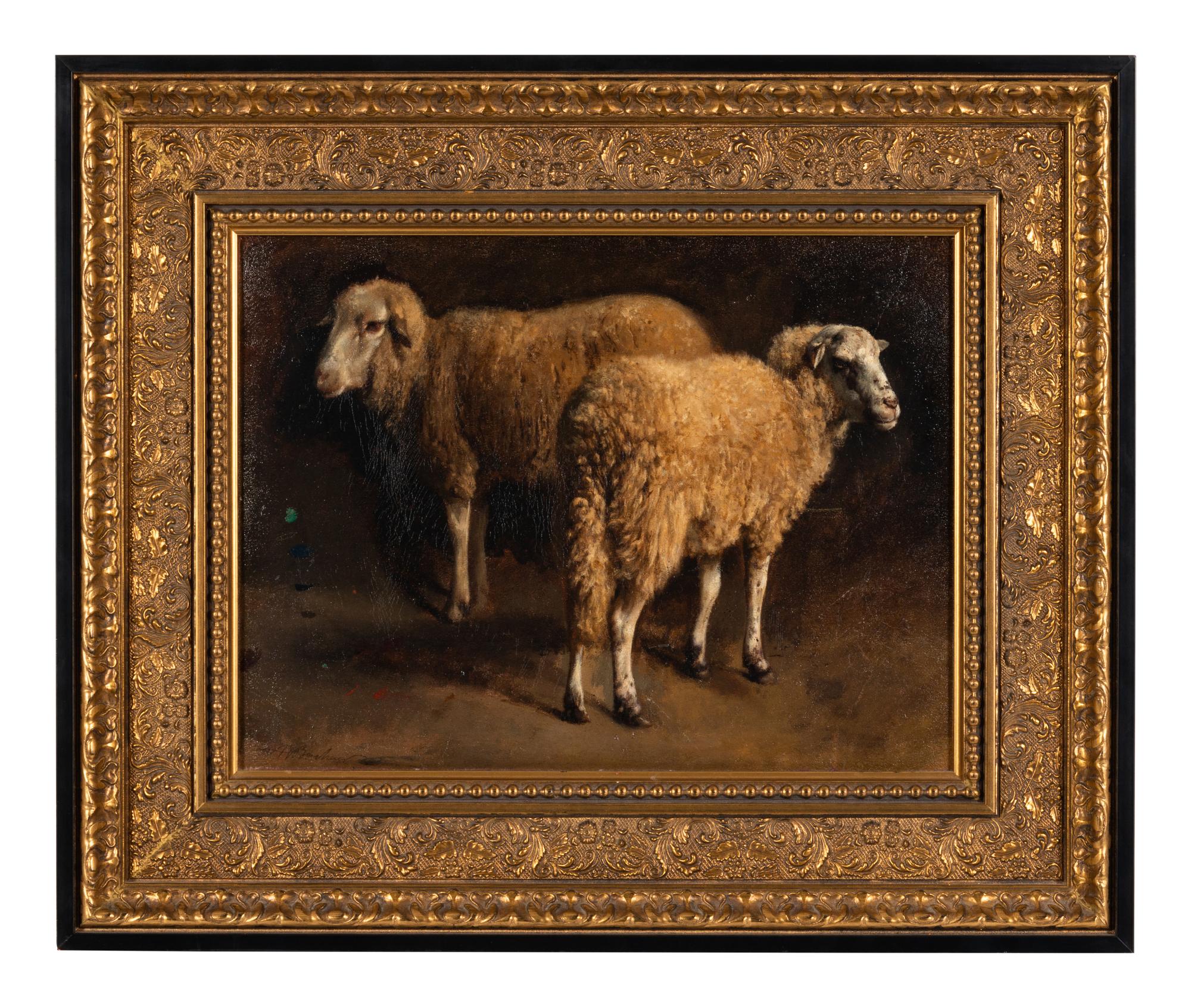 Study of Two Sheep