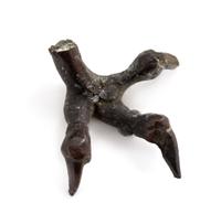 A Bronze Model of A Dragon Height 7 inches.
