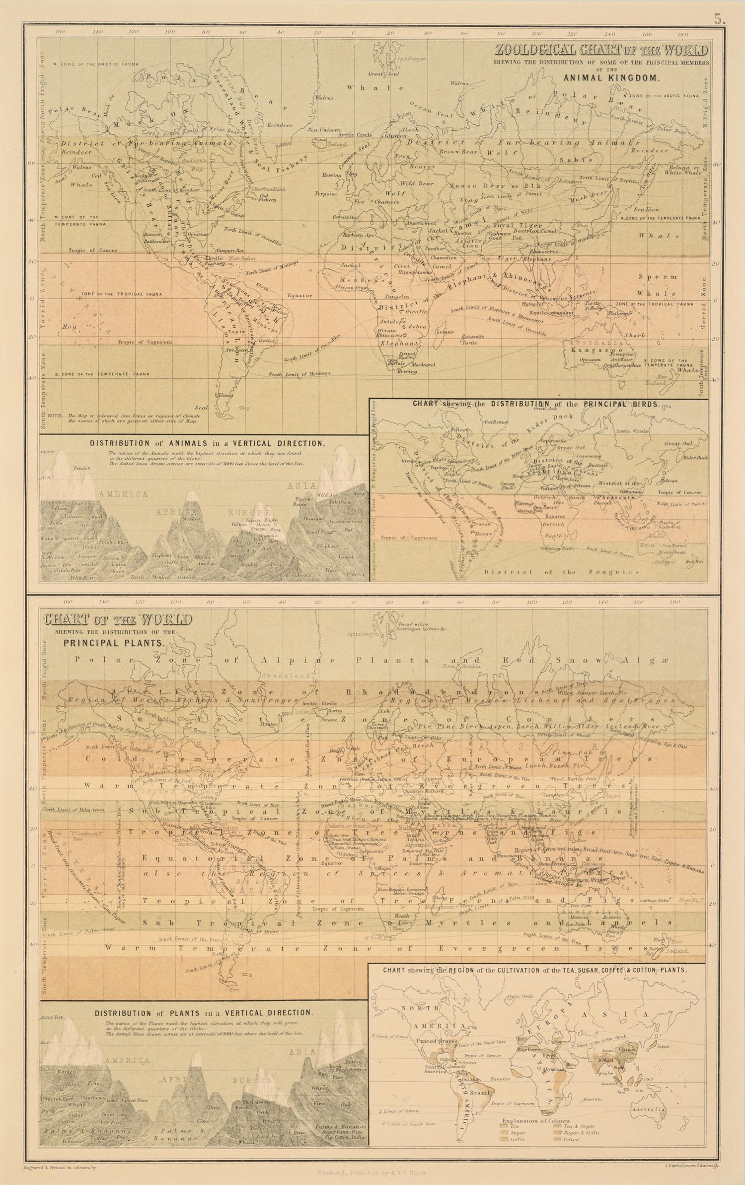 A Group of 11 19th and 20th century maps, comprising: