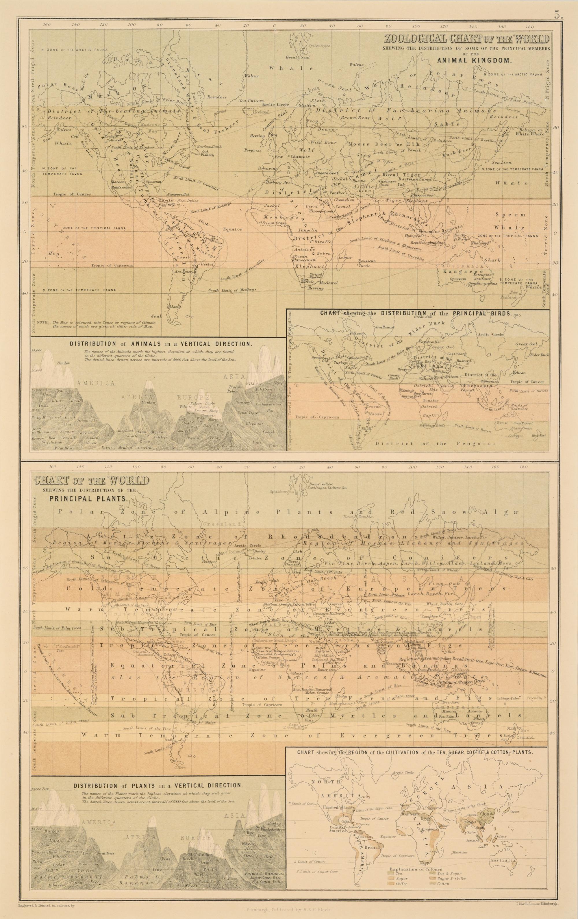 A Group of 11 19th and 20th century maps, comprising: