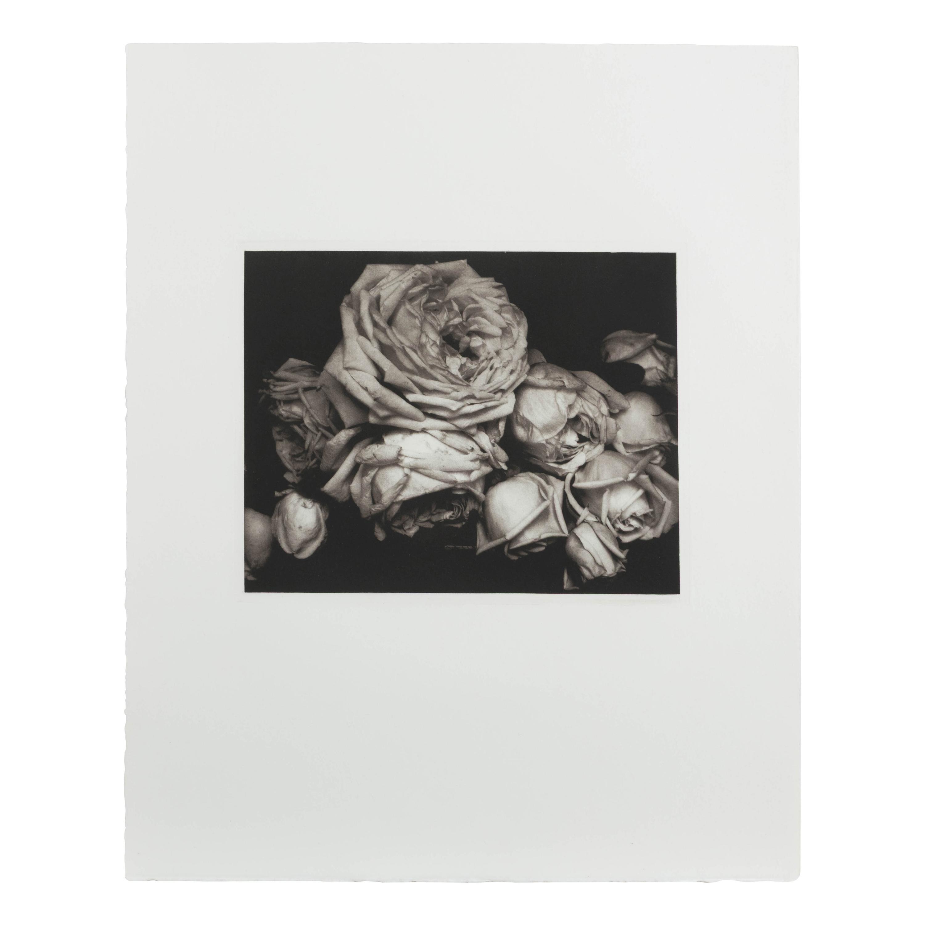 Edward Steichen (American, 1879–1973) — Edward Steichen The Early Years 1900-1927 (complete portfolio of twelve with text pages and portfolio case), 1981