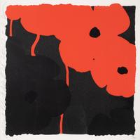 Poppies: Red and Black