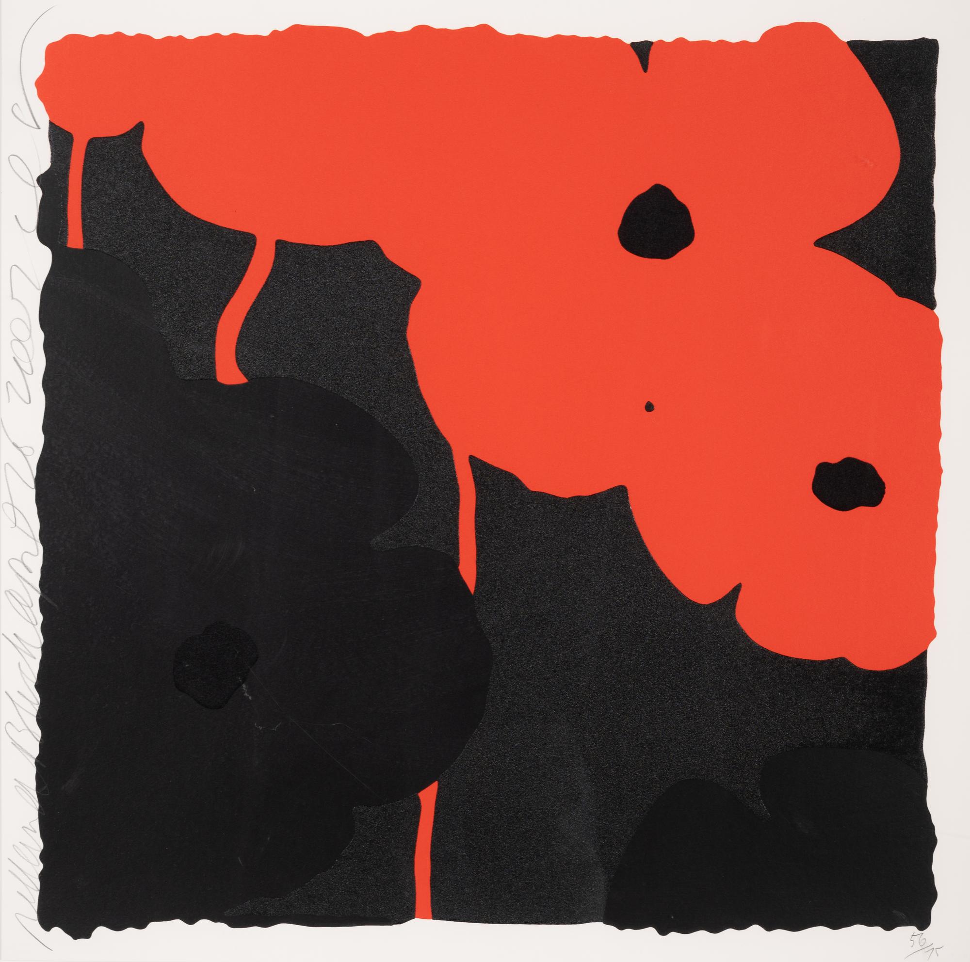 Poppies: Red and Black