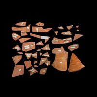 36 Attic Black-Figured Tyrrhenian Amphora Fragments