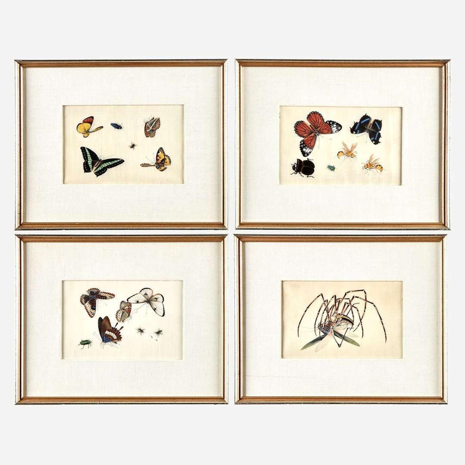 A Suite of Twelve Framed Chinese Export Paintings Sunqua (Chinese, active 1830-1870), Qing Dynasty