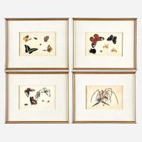 A Suite of Twelve Framed Chinese Export Paintings Sunqua (Chinese, active 1830-1870), Qing Dynasty