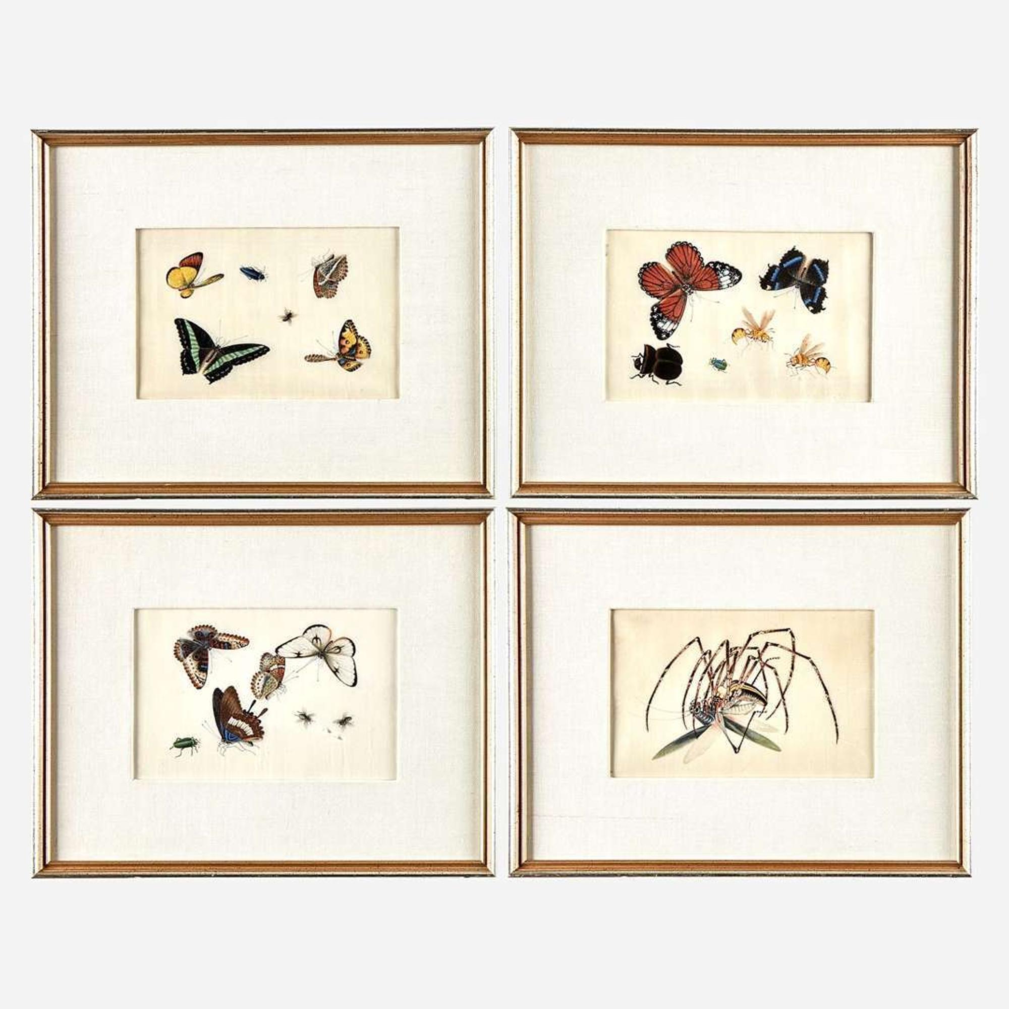 A Suite of Twelve Framed Chinese Export Paintings Sunqua (Chinese, active 1830-1870), Qing Dynasty