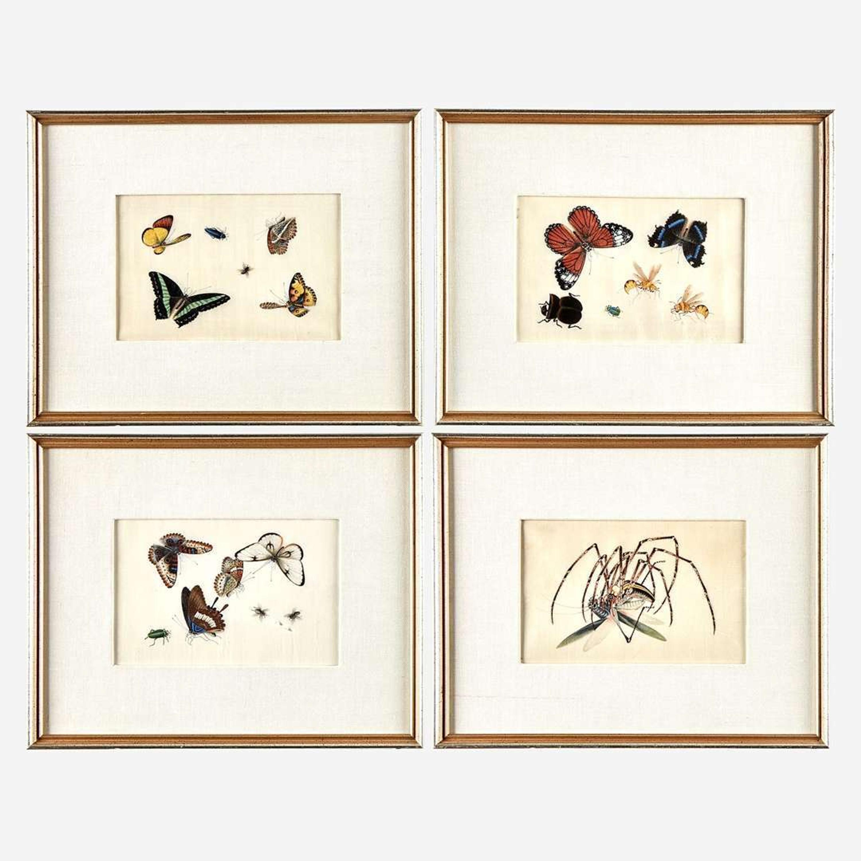 A Suite of Twelve Framed Chinese Export Paintings Sunqua (Chinese, active 1830-1870), Qing Dynasty