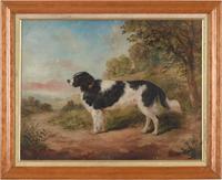 Edwin Frederick Holt (British, 1830–1912) - Portrait of a Black and White Spaniel