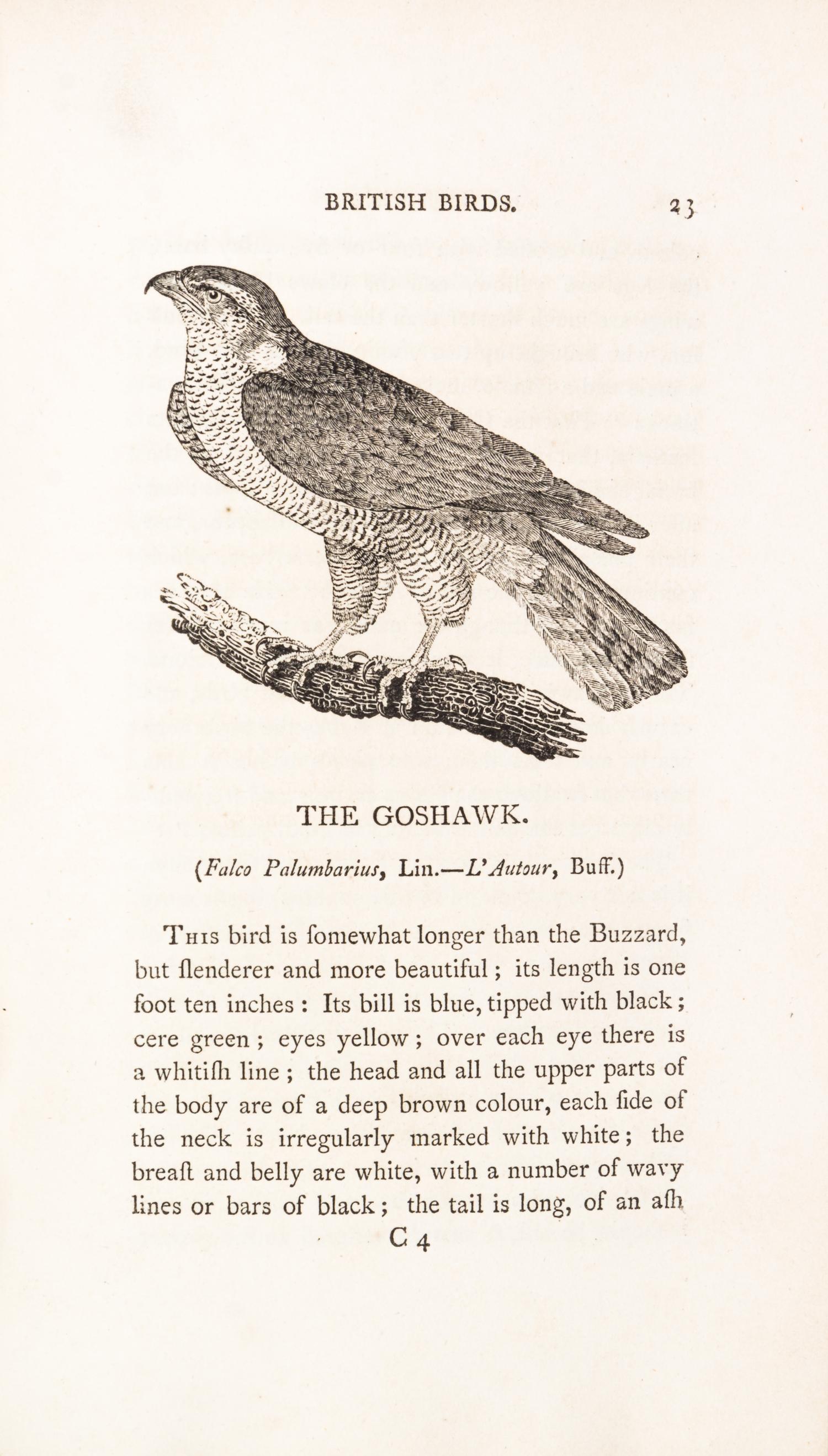 BEWICK, THOMAS. A History of British Birds. Newcastle, 1797-1804. 2 vols.