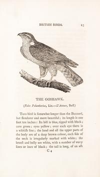 BEWICK, THOMAS. A History of British Birds. Newcastle, 1797-1804. 2 vols.
