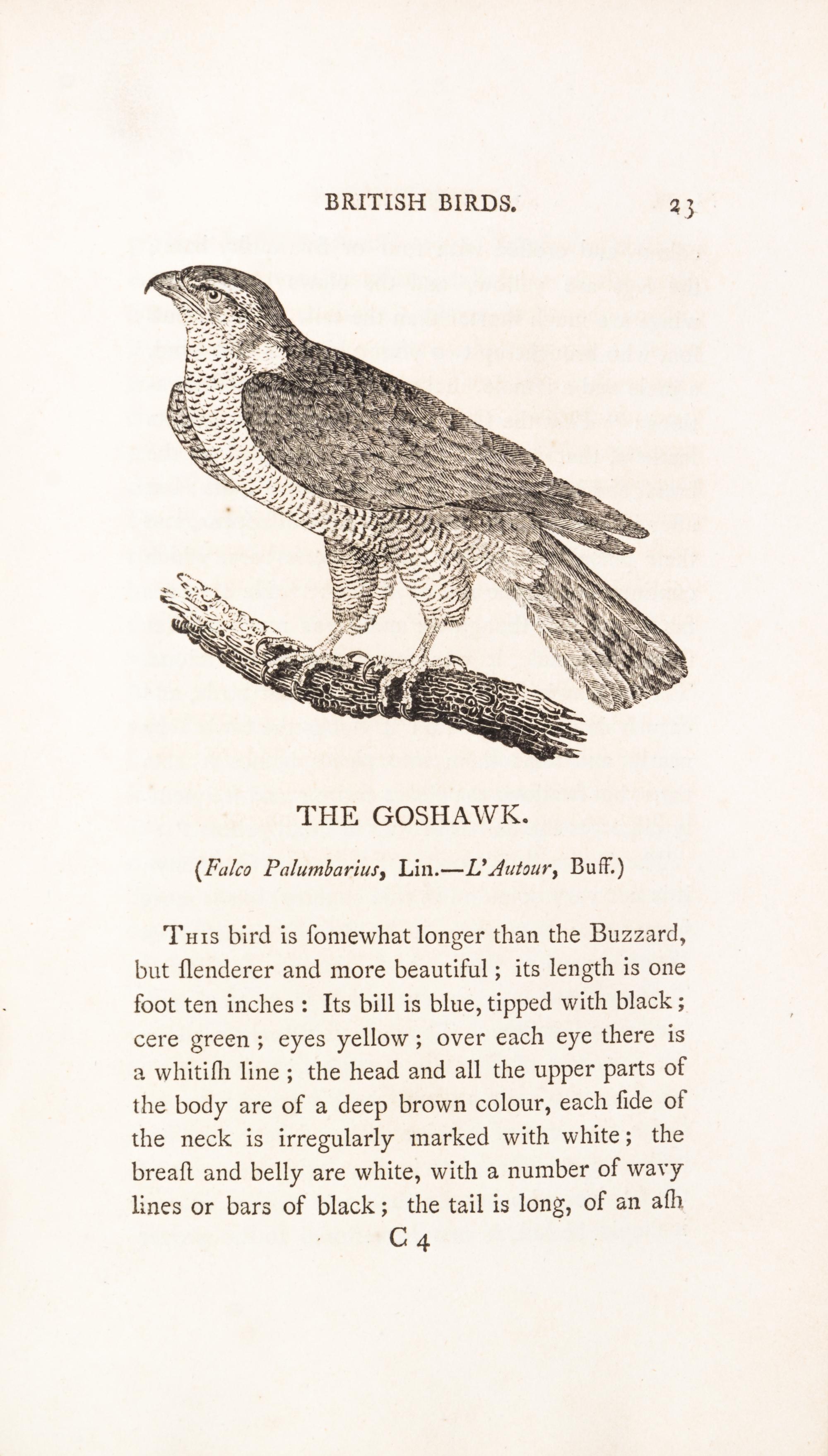 BEWICK, THOMAS. A History of British Birds. Newcastle, 1797-1804. 2 vols.