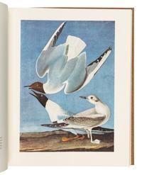AUDUBON, John James (1785-1851). The Original Water-color Paintings... for The Birds of America . Marshall B. Davidson, introduction. New York: American Heritage Publishing Co., Inc., 1966.