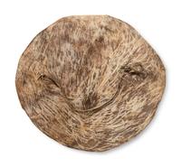 Plains Painted Hide Shield