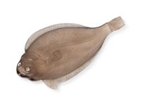 A Fabergé Carved Smoky-Quartz and Diamond-Inset Figure of a Fish