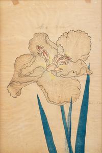 A Group of Six Japanese Color Lithographs from the Yokohama Seed Company