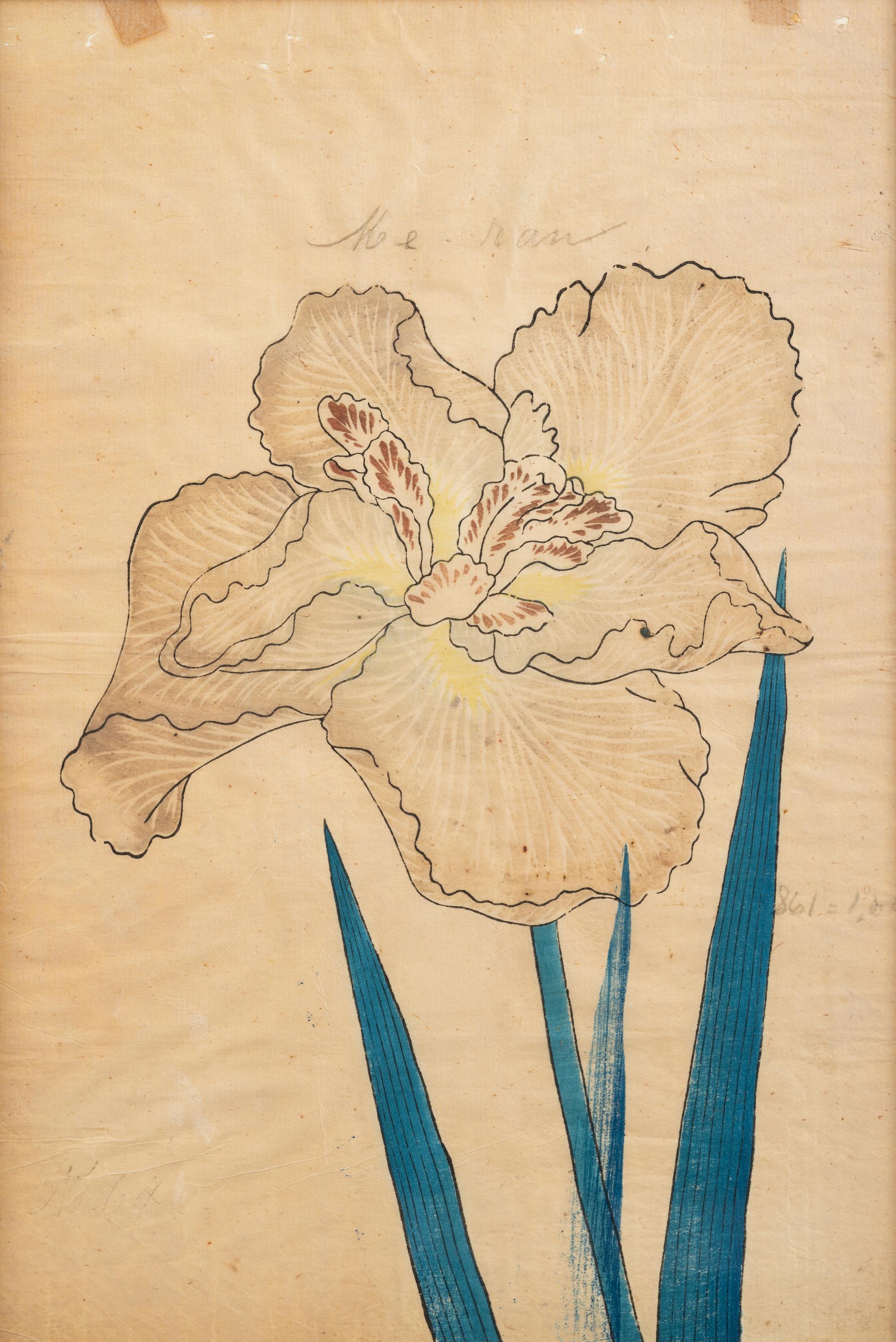 A Group of Six Japanese Color Lithographs from the Yokohama Seed Company