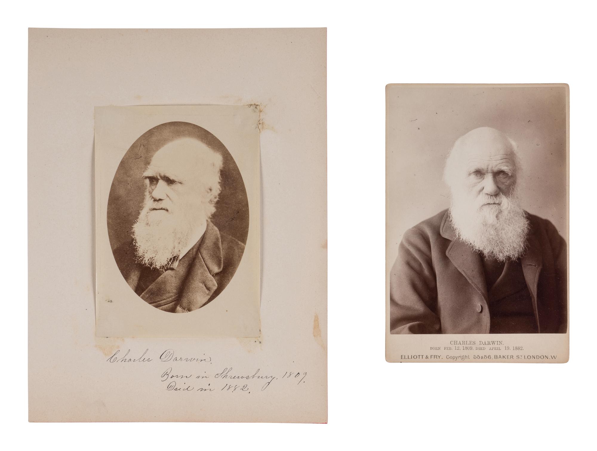 [NATURAL HISTORY]. DARWIN, Charles (1809-1882). A pair of albumen portrait photographs of Darwin, comprising: