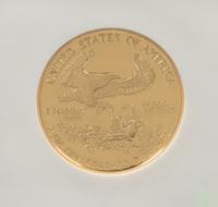 A United States 1991-P Eagle $25 Gold Proof