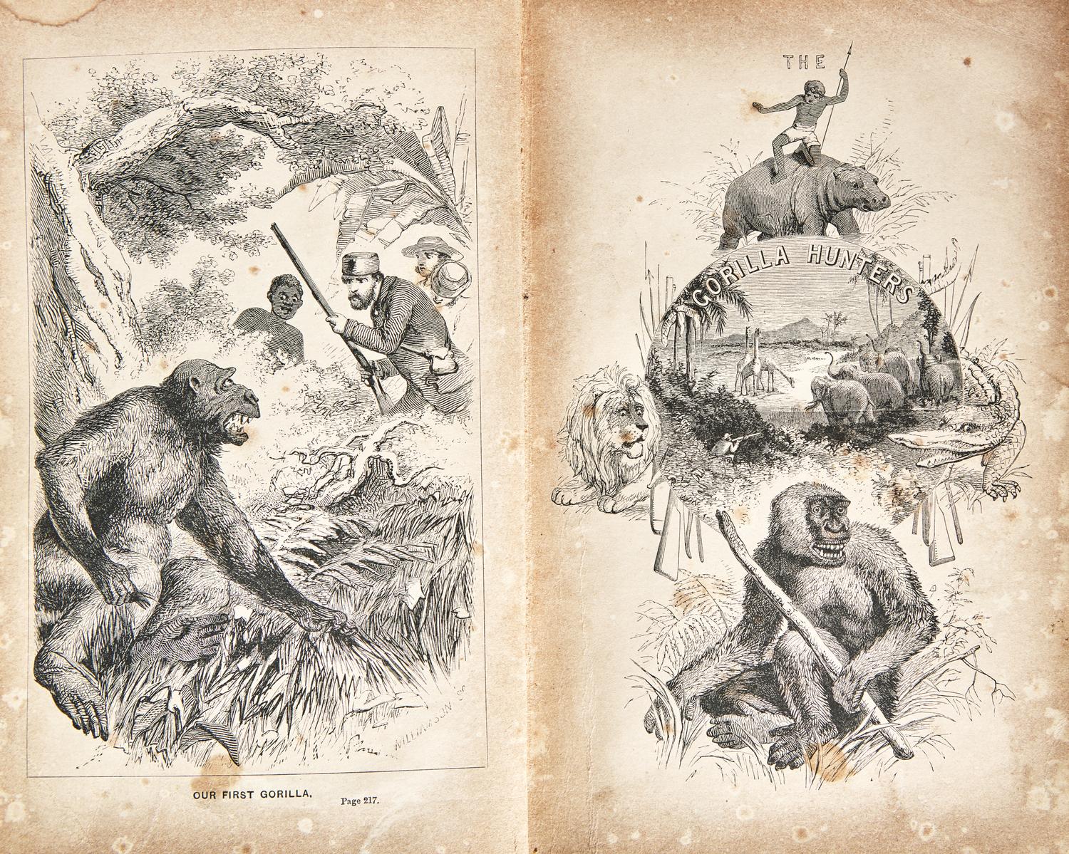 [Literature] Ballantyne, R(obert).M(ichael). The Gorilla Hunters. A Tale of the Wilds of Africa