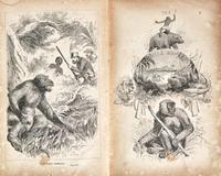 [Literature] Ballantyne, R(obert).M(ichael). The Gorilla Hunters. A Tale of the Wilds of Africa