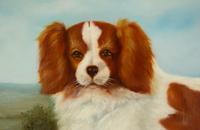 Spaniel in Landscape
