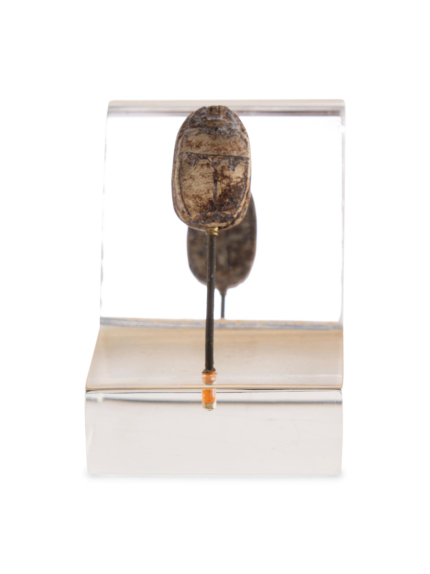 An Egyptian Steatite Scarab
