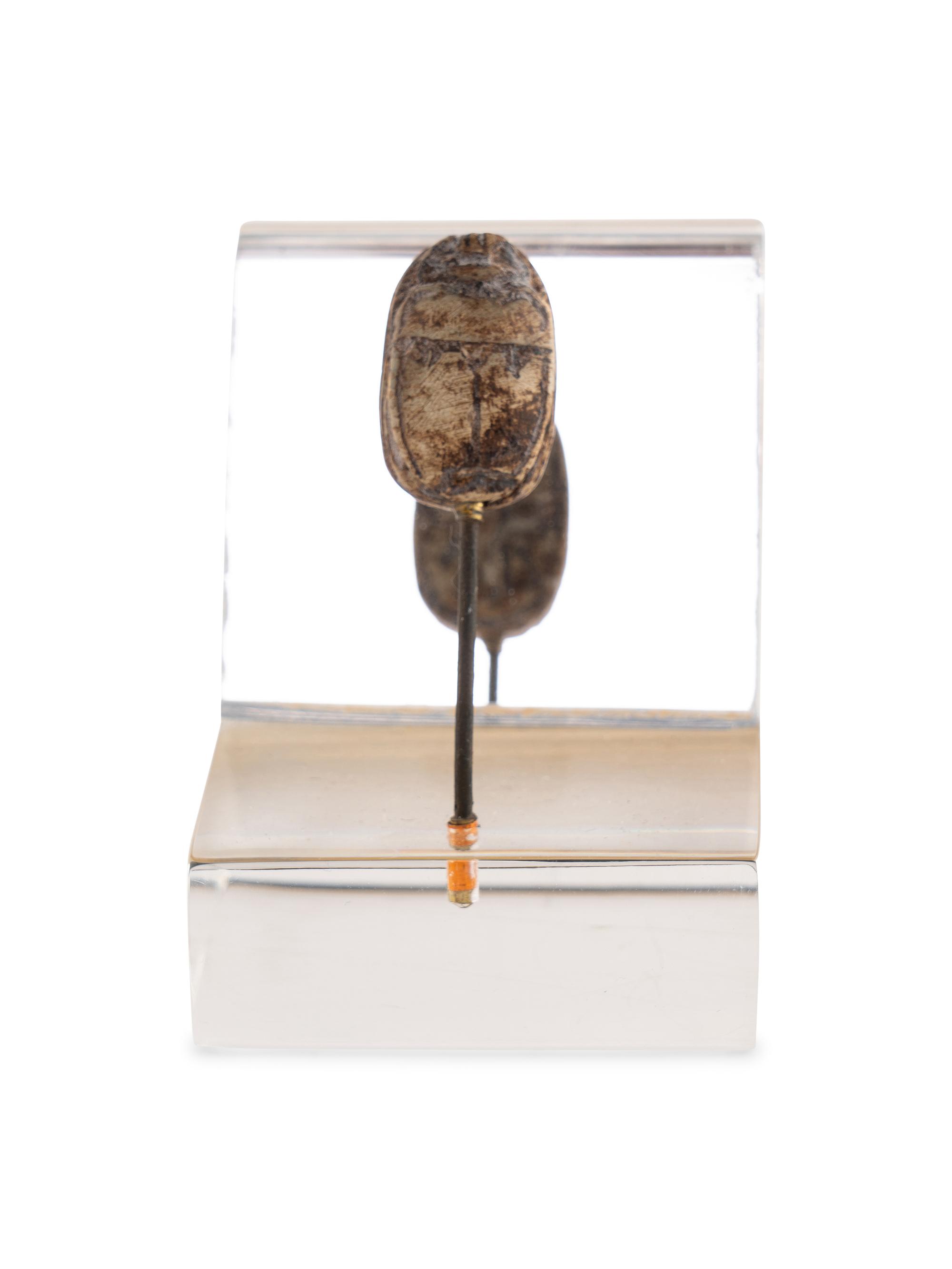 An Egyptian Steatite Scarab