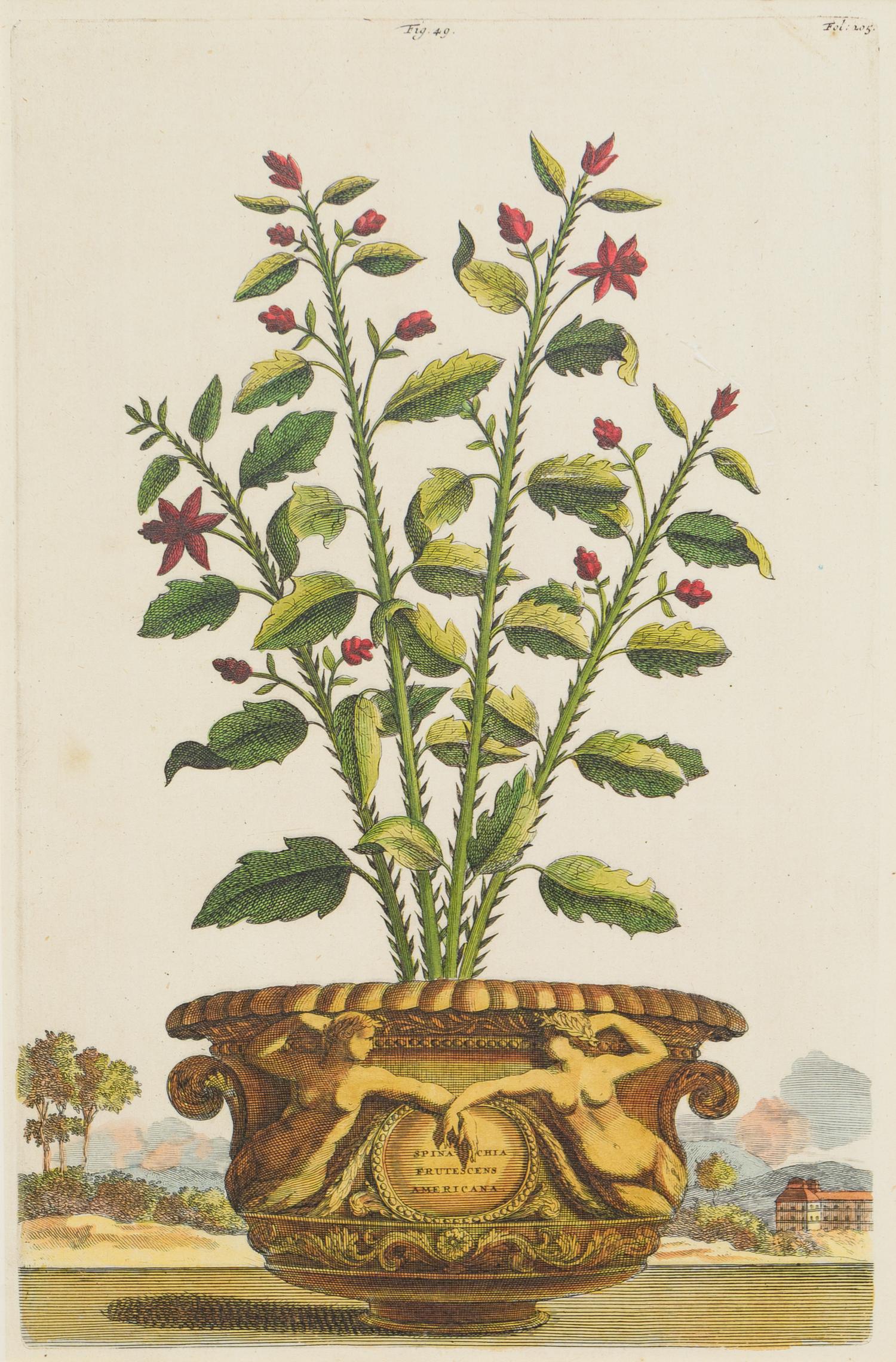 A Set of Three Framed Hand-Colored Chromolithographs