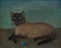 Siamese Cat