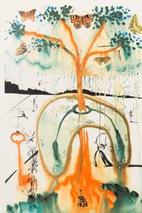 (DALI, SALVADORE) CARROLL, LEWIS. Alice's Adventures in Wonderland. Maecenas Press, 1969. Limited. Signed.