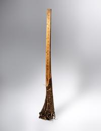 Ruler
