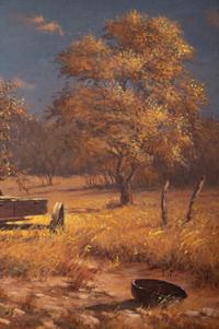 Abandoned Wagon