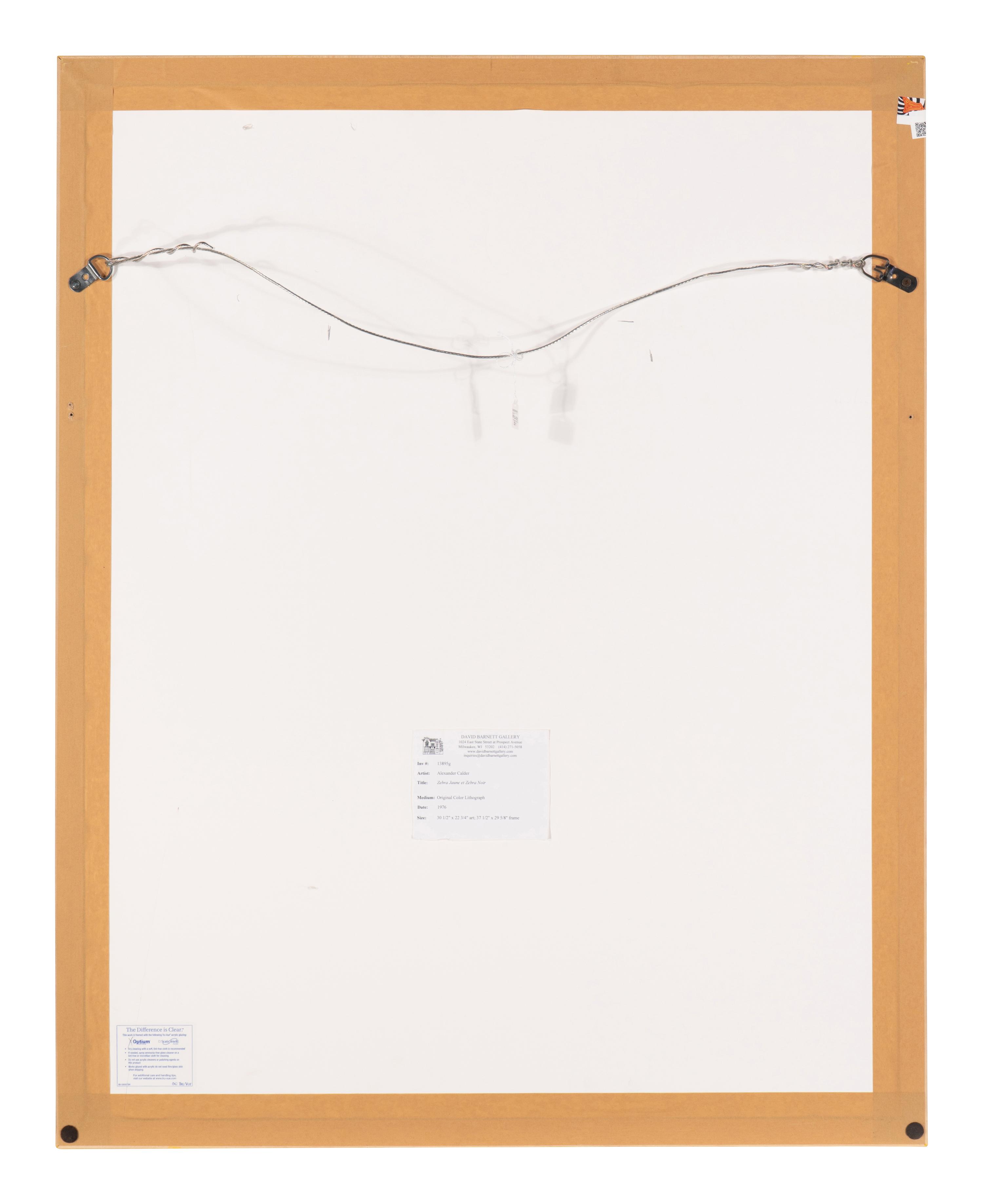 Zèbre Jaune et Zèbre Noir , 1976