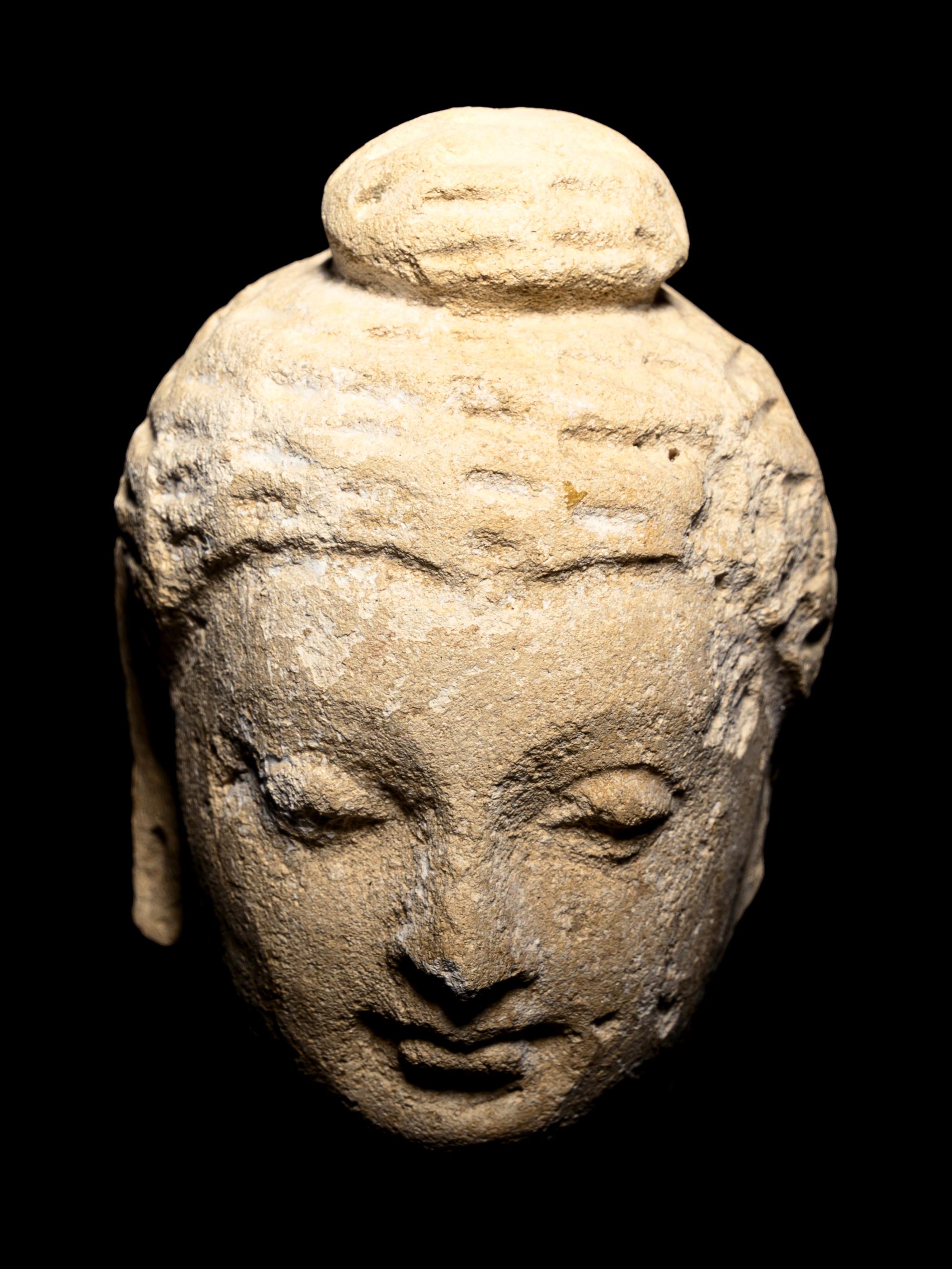 Three Gandharan Fragmentary Stucco Heads and One European Fragmentary Stucco Head