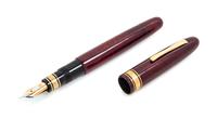 An Omas Amerigo Vespucci Special Edition Fountain Pen