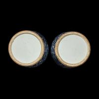 A Pair of Chinese Blue and White Porcelain Vases