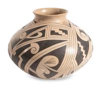 Mata Ortiz Pottery