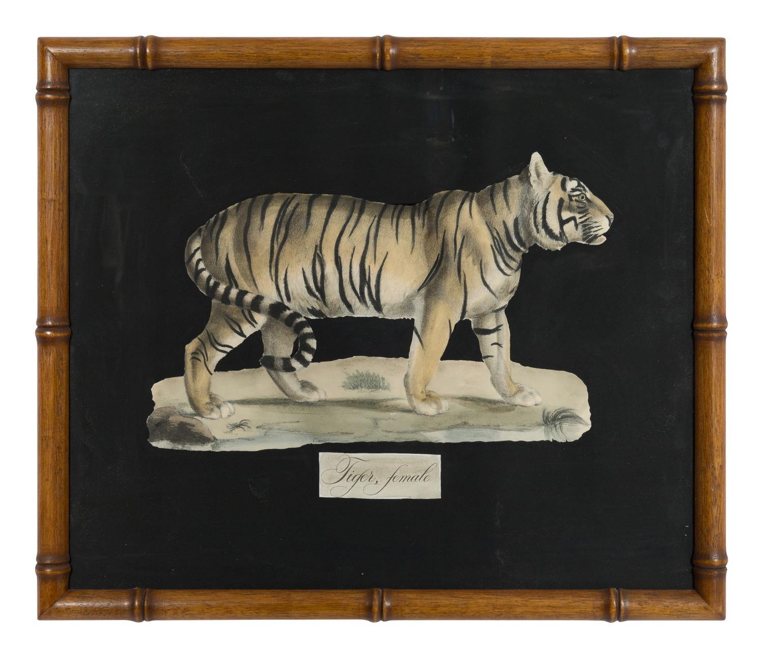 A Collection of Four Large Cat Prints