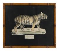 A Collection of Four Large Cat Prints