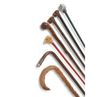 Seven Walking Sticks and a Cast Metal Umbrella Stand