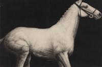 Study (Horse) , 1979