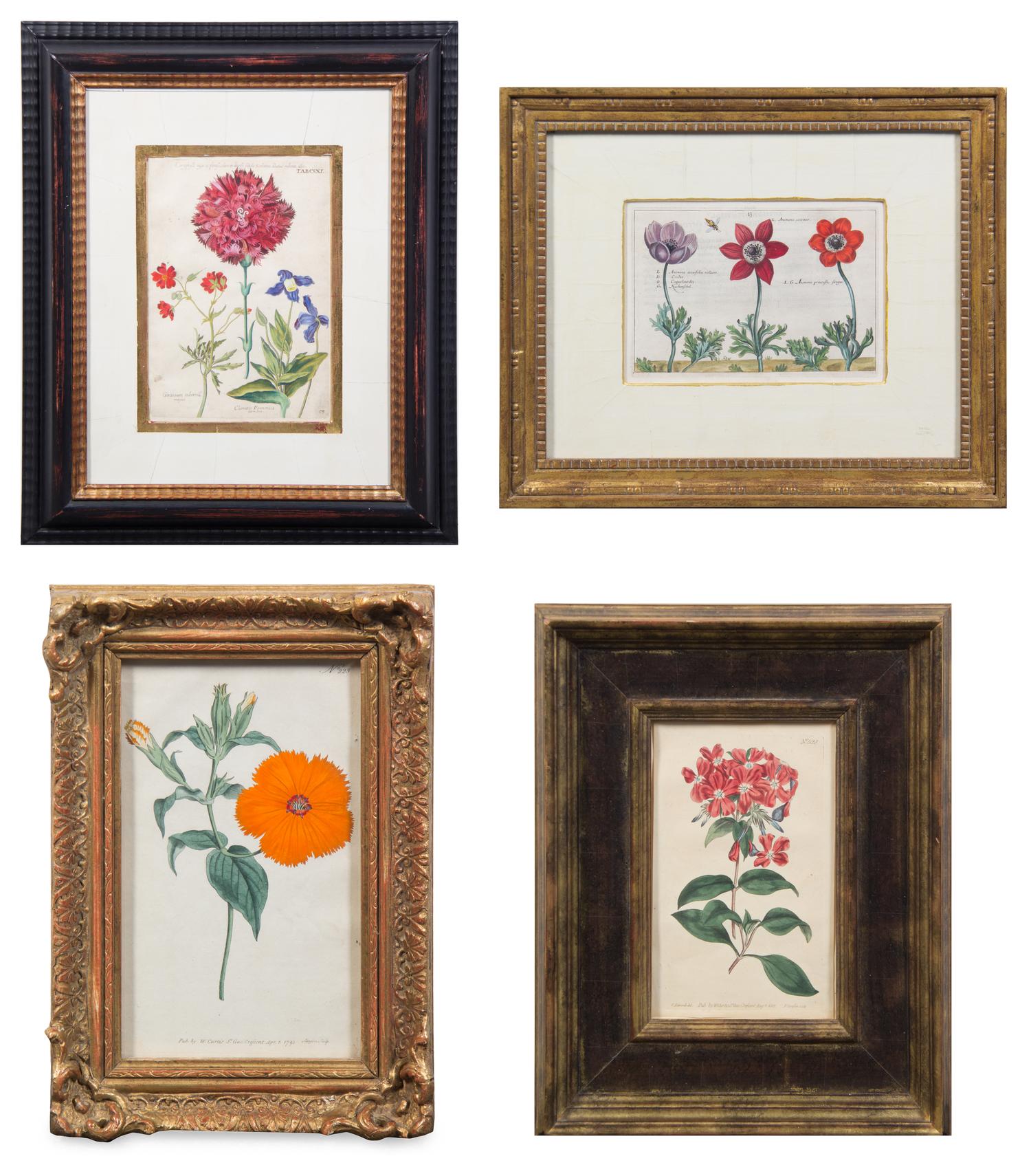 A Group of Four Hand-Colored Botanical Engravings Largest: 21 1/2 x 17 1/2 inches overall.