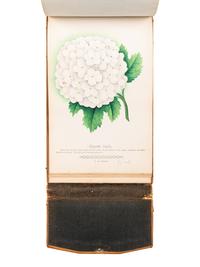[SALESMAN'S CATALOGUE]. DEWEY, D. M. The Nurseryman's Specimen Book of American Horticulture and Floriculture, Fruits, Flowers, Ornamental Trees, Shrubs, Roses, &c . N.p., n.d. [ca 1880s?].