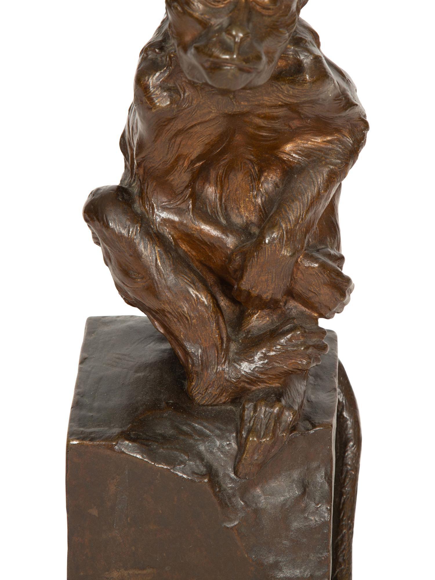 Singe pensif, 1908