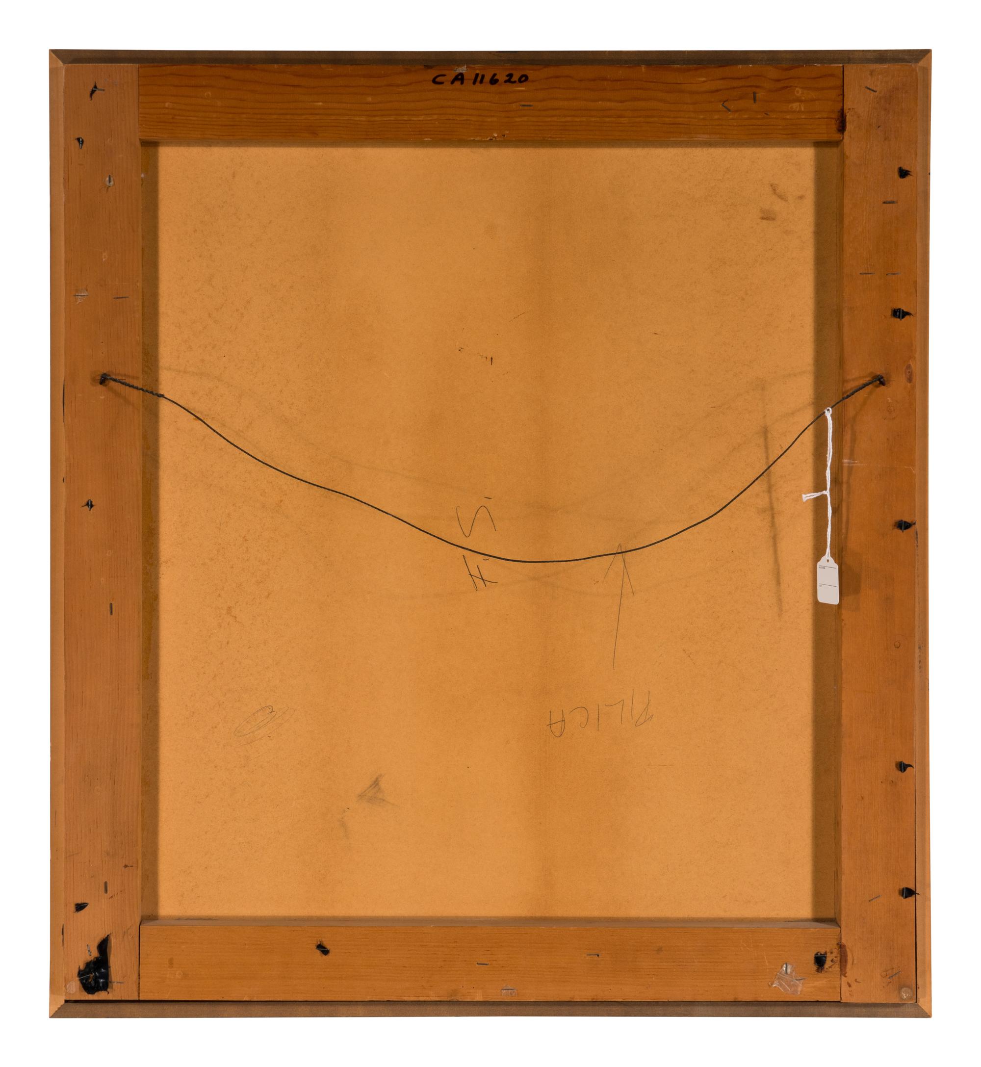 Pilicia (Sketch) , 1973