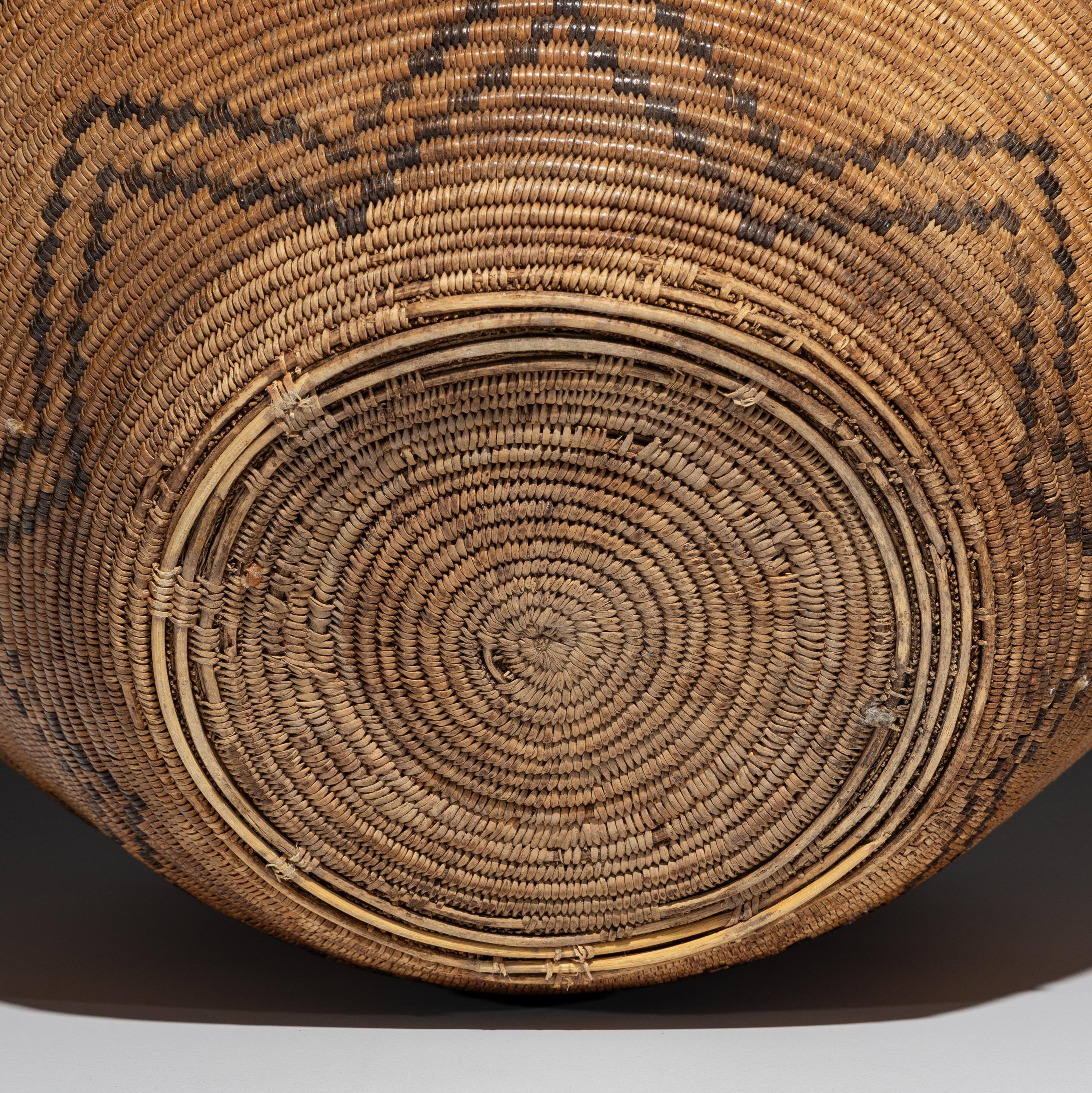 Western Apache Basketry Olla, with Human Figures
