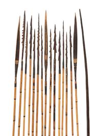 Papuan New Guinea Bow and Arrows