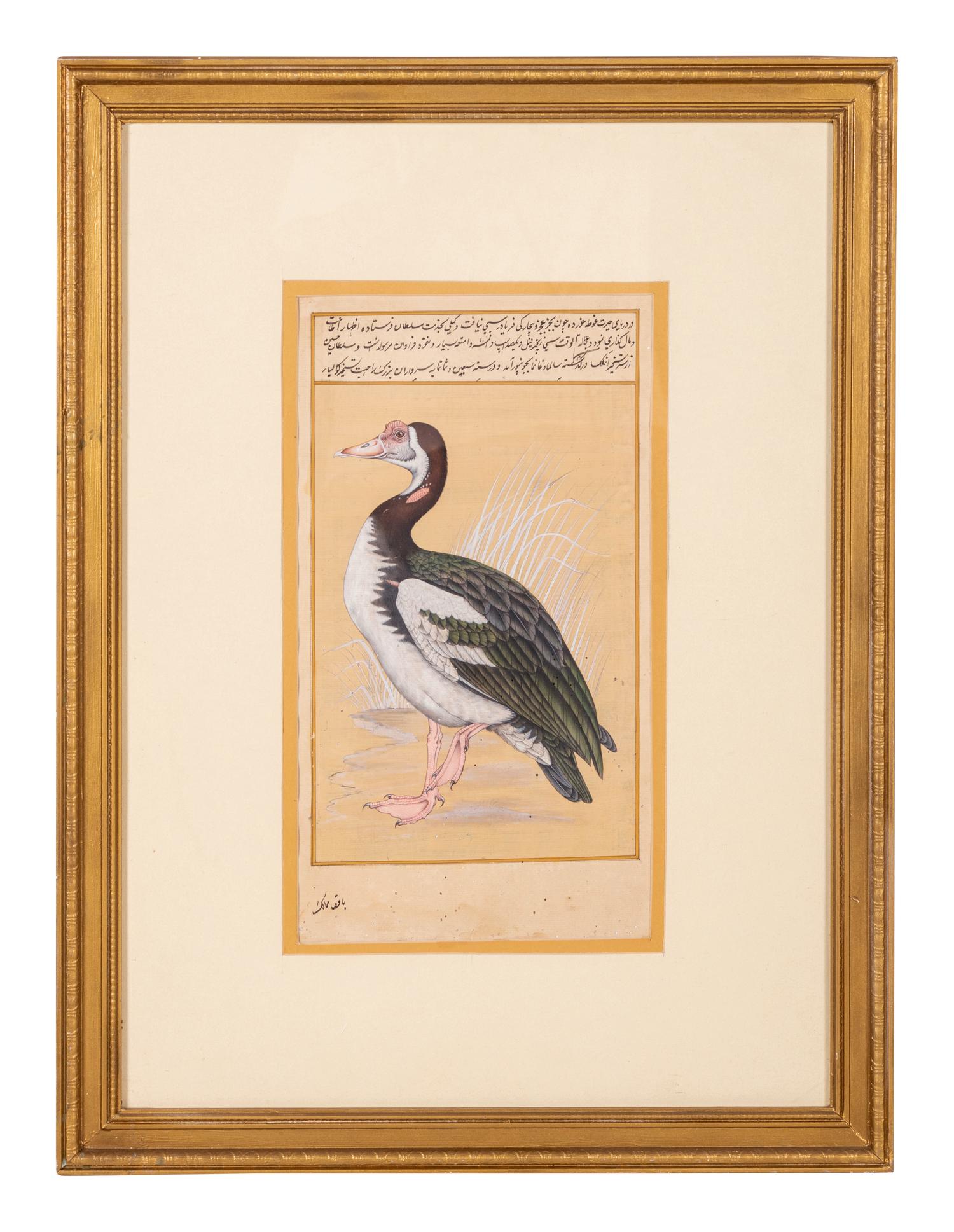 Four Indian and Islamic Miniature Paintings Depicting Birds
